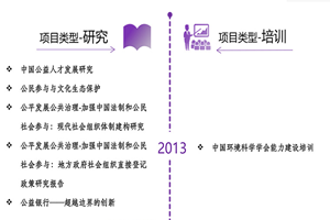 大黑屌操辣妈非评估类项目发展历程